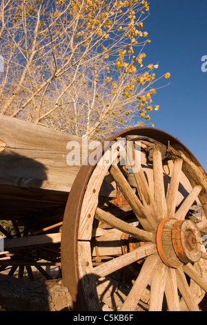 De Roue de chariot en bois vertical en automne Banque D'Images