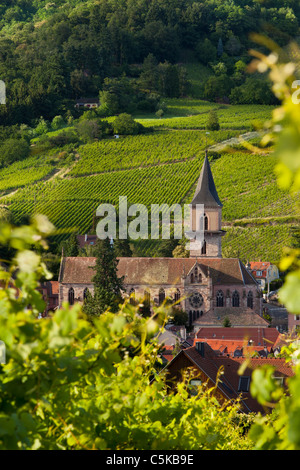 Le beau presbytère catholique Église de Ribeauvillé, le long de la Route des Vins d'Alsace, Haut-Rhin France Banque D'Images