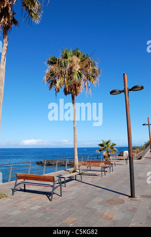Front de mer à Playa de las Américas, Tenerife island, Espagne Banque D'Images