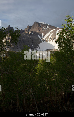 Baker, Nevada - Wheeler Peak et Rock Glacier dans le Parc National du Grand Bassin. Banque D'Images