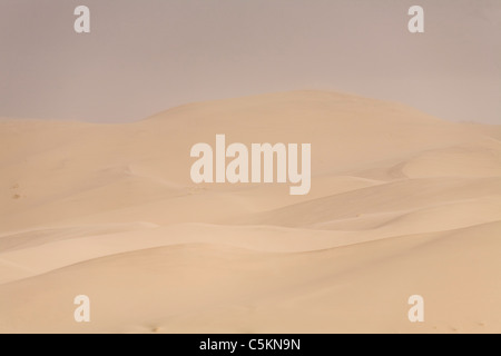 Chasse-sable dans l'Eureka Dunes, Death Valley, CA Banque D'Images