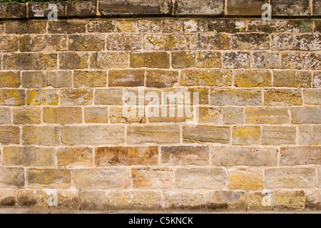 Horsham Park wall, West Sussex, Angleterre Banque D'Images