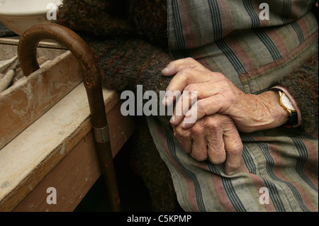 Les mains et le bâton de marche du célèbre céramiste Nouvelle-zélande Doreen Blumhardt (90) Banque D'Images