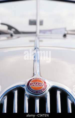 Jaguar XK 140 . Détail façade avant . Classic British cars Banque D'Images