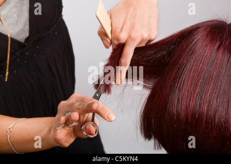Coiffure Coupe de cheveux des clients au travail Banque D'Images