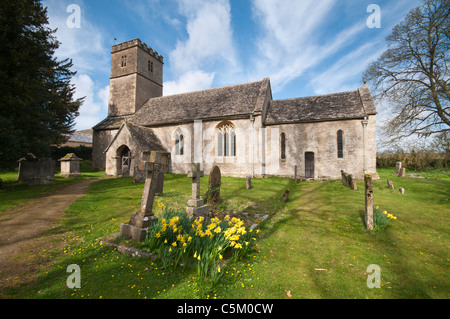 L'église St Andrew de jonquilles au premier plan, village de Cotswold Coln Rogers, Gloucestershire, Royaume-Uni Banque D'Images