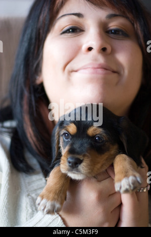 Une femme tenant un chiot nouveau-né race mélangée d'un caniche et beagle (borkie) Banque D'Images