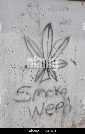 'Smoke' Mauvaises herbes des graffitis. Slane, Irlande. Banque D'Images