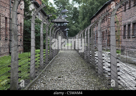 Auschwitz détail de clôture électrique Banque D'Images