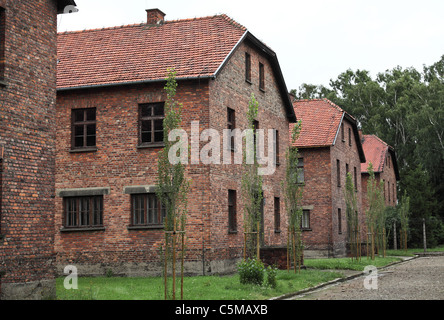 Camp d'Auschwitz, vue sur barracks Banque D'Images