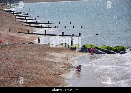 Vue de la plage montrant des brise-lames en bois, Lymington, Hampshire, Angleterre, Royaume-Uni Banque D'Images