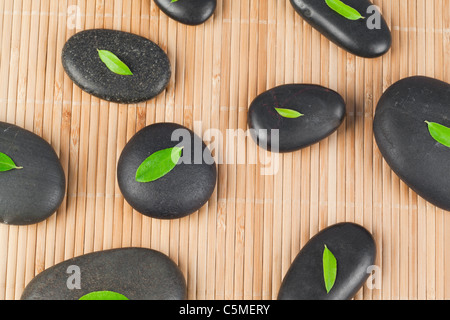 Les feuilles sur les pierres noires Banque D'Images