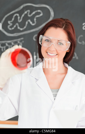 Rousse Smiling scientist looking at a petri dish Banque D'Images