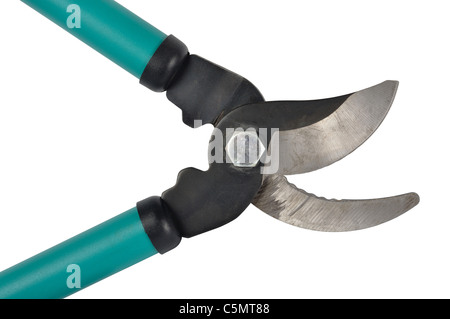 Élagueurs (ou transversale) prunning isolé sur fond blanc Banque D'Images