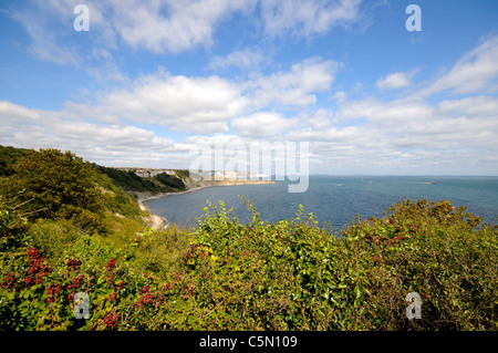 La baie de Durlston, Swanage, Dorset, Angleterre. Banque D'Images