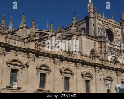 La cathédrale dans le centre de Séville, Espagne. Banque D'Images