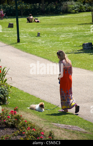 Jeune femme de prendre le chien pour une promenade dans les jardins de Bournemouth, mais il veut un reste à cause de la chaleur Banque D'Images