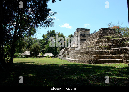 Caracol Ruines Belize Banque D'Images