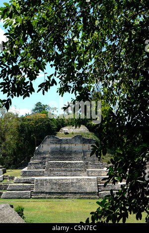 Caracol Ruines Belize Banque D'Images