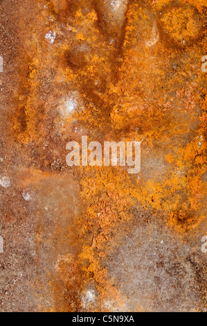 Rusty metal background Banque D'Images