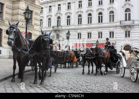 Transport de chevaux (fiacre) à Vienne, Autriche Banque D'Images