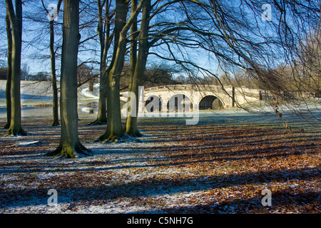 Pont sur la rivière Glyme, Blenheim Palace, Angleterre Banque D'Images