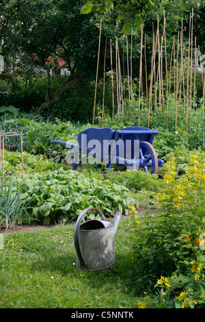 Des lits de légumes (épinards variété : Matador), les carottes, les pois, le zinc arrosoir brouette en bois et dans un potager. Banque D'Images