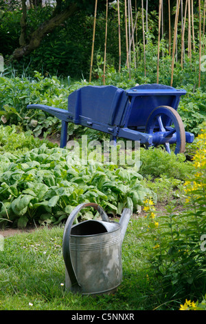 Des lits de légumes (épinards variété : Matador), les carottes, les pois, le zinc arrosoir brouette en bois et dans un potager. Banque D'Images