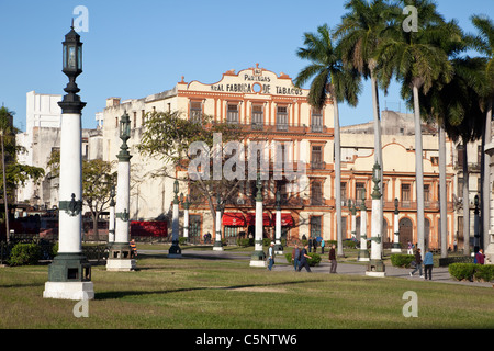 Cuba, La Havane. Cigare cubain Partagas Factory. Banque D'Images