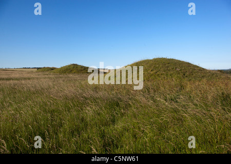 Burial Mounds Overton Hill Wiltshire England UK Banque D'Images