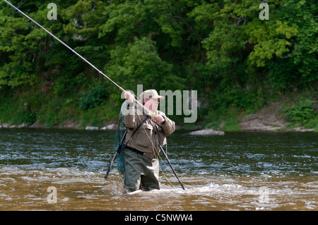 Fisherman fly la pêche du saumon sur la rivière Tweed, Scottish Borders, Scotland Banque D'Images