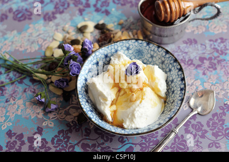 Du yaourt grec au miel et noix de pin Banque D'Images