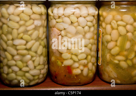 Les légumes en conserve traditionnelle. La Rioja. L'Espagne. Banque D'Images