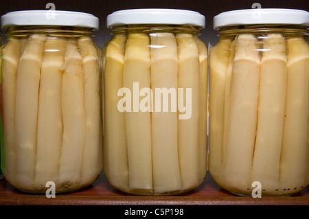 Les asperges en conserve traditionnelle. La Rioja. L'Espagne. Banque D'Images