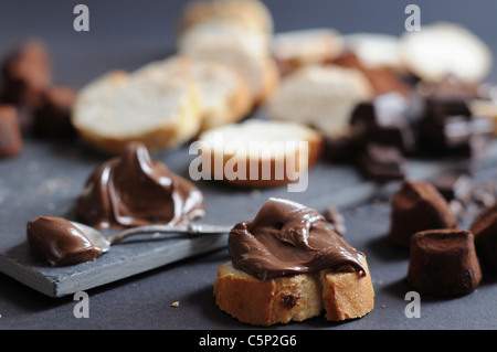 Tranches de baguette avec la crème au chocolat, morceaux de chocolat et truffes, poudre d'cokoa Banque D'Images