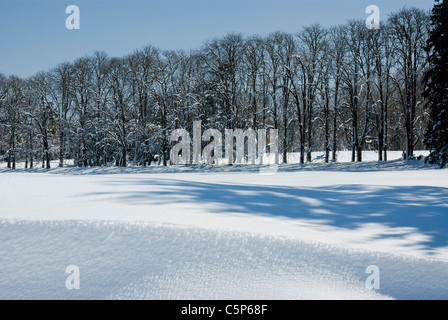 Paysage de neige dans la région de La Plana de Vic Banque D'Images