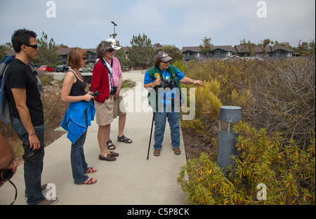 Promenade dans le Tijuana Slough National Wildlife Refuge Banque D'Images