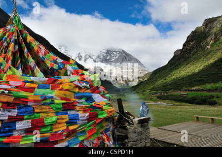 Drapeaux de prière tibetains à Luorong pâturage. Daocheng Yading Nature Reserve, Sichuan, Chine. Banque D'Images