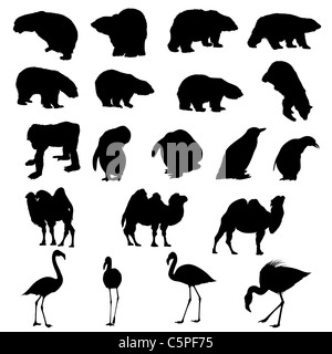 Ensemble d'ours, de singes, des pingouins, des chameaux et des flamants roses de silhouettes. Vector illustration. Banque D'Images