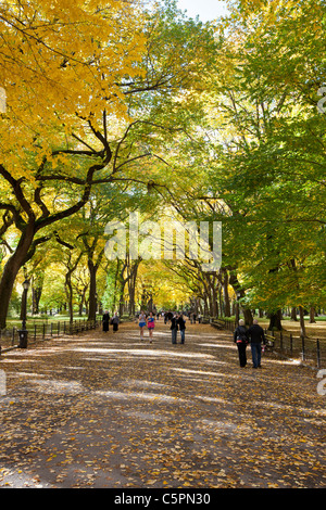 Les gens qui marchent dans le Parc Central Mall sous les arbres aux couleurs de l'automne - Manhattan, New York Banque D'Images