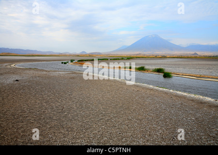 Le lac Natron, en Tanzanie Banque D'Images