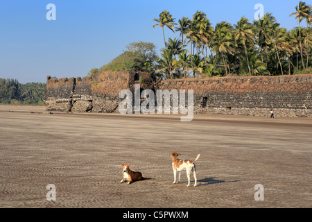 Revdanda, côte de Konkan, Inde Banque D'Images