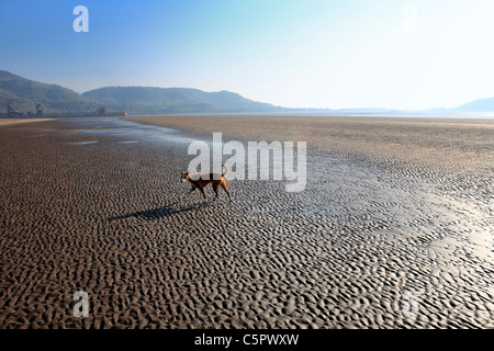 Revdanda, côte de Konkan, Inde Banque D'Images