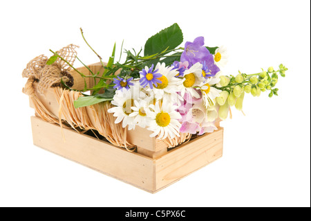 Gros plan des fleurs mauve et blanc marguerites dans des caisses en bois Banque D'Images