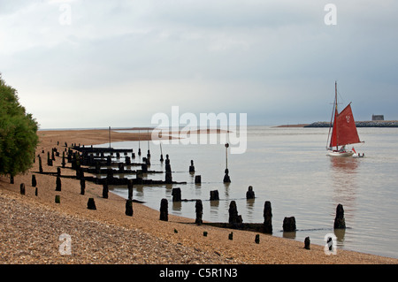 Bois épis, rivière Deben Bawdsey, Ferry, Suffolk, UK. Banque D'Images