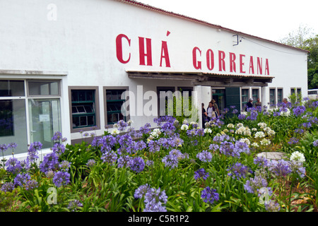 Chá Gorreana plantation de thé, bâtiment principal. L''île de São Miguel, aux Açores. Banque D'Images