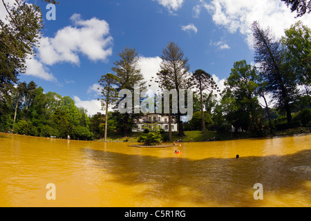 Les gens dans l'eau d'or de la fontaine de la jeunesse, une source d'eau chaude dans le parc Terra Nostra, village de Furnas, Açores. Banque D'Images