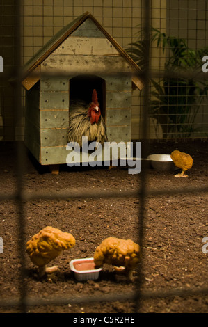 L'installation de Banksy, une poule dans une cage et des nuggets de poulet 3 pots à Banque D'Images