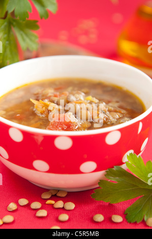 Soupe aux lentilles bulgare avec les tomates, l'oignon, l'ail, végétarien Banque D'Images