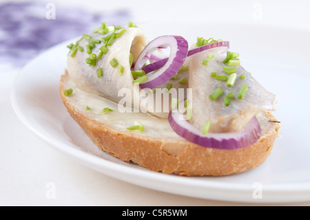 Filet de hareng mariné avec la ciboulette et l'oignon on white plate Banque D'Images